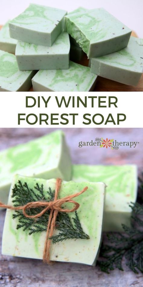 Soap Making For Beginners, Cedarwood Soap, Goat Milk Soap Recipe, Diy Soap Bars, Easy Soap Recipes, Christmas Tree Scent, Tree Soap, Handmade Soap Recipes, Cold Process Soap Recipes