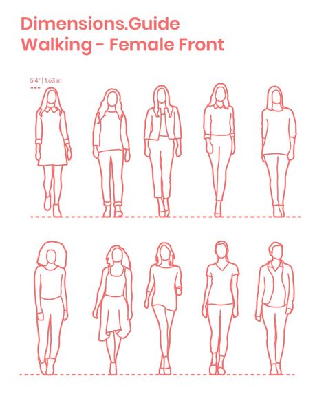 Assortment of women walking in front profile with various postures and clothing styles. This group of females has an average height set at 5’4” | 1.63 m. Outlined and detailed silhouettes are available. Downloads online #humans #people #women #females #walking Posture Drawing, Women Standing, Front Profile, Human Dimension, Human Figure Sketches, Average Height, Sketches Of People, Human Drawing, Figure Sketching