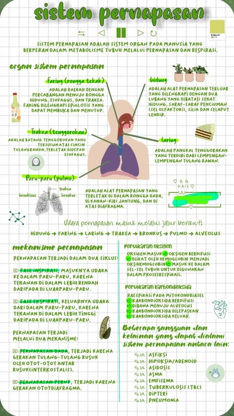 biologi kelas 11 Materi Kelas 11, Materi Ipa Kls 8, Materi Kelas 6, Materi Kelas 7, Materi Kelas 8, Pelajaran Ipa, Study Biology, School Study Ideas, Science Notes