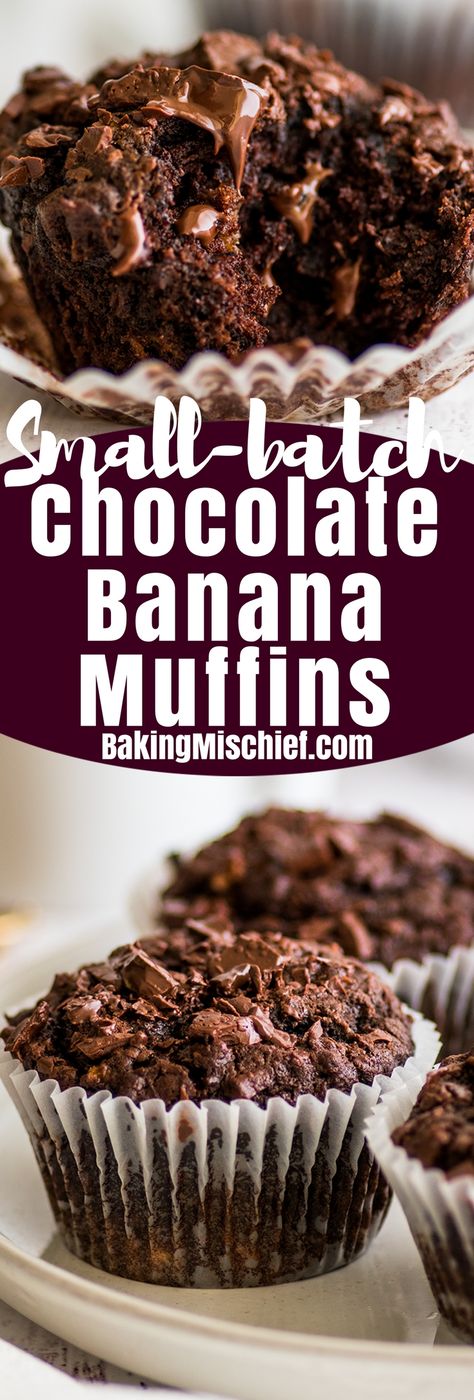 Small-batch Chocolate Banana Muffins (One-banana, One-bowl) - Baking Mischief One Ripe Banana, Baking Mischief, Chocolate Banana Muffins Recipe, Breakfast Chocolate, Small Batch Baking, Chocolate Banana Muffins, Gf Flour, Dessert For Two, Just Bake