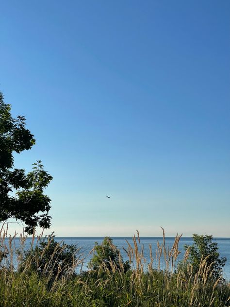 Toronto Summer Aesthetic, Lakeshore Toronto, Summer Ontario, Summer In Canada, Toronto Summer, Canadian Summer, Atlantic Canada, Summer 24, Rustic Cabin