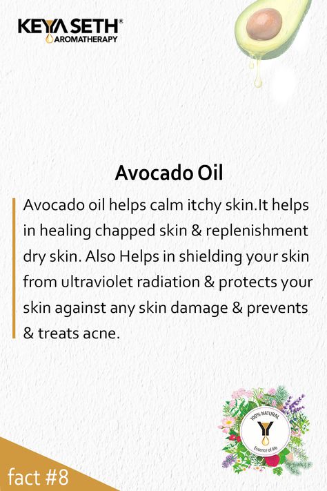 Avocado Oil Avocado Oil For Face, Avocado Oil Benefits, Avocado Tree, Cosmetics Industry, Face Wrinkles, Natural Preservatives, Oil Benefits, Avocado Salad, How To Treat Acne