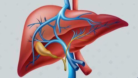 6 Signs That Your Liver Is Full Liver Transplantation, Liver Cleanse Juice, Uses For Vicks, Human Liver, Liver Failure, Liver Function, Medical Tests, Sinus Infection, Healthy Liver