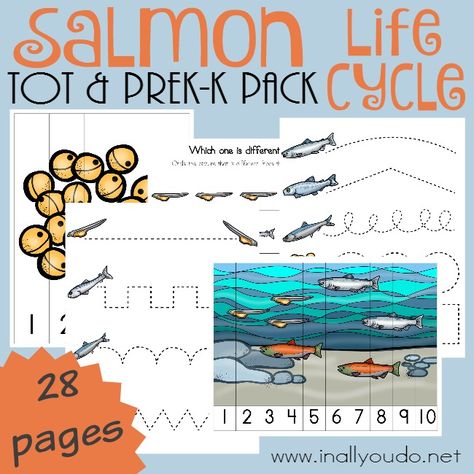 Salmon Life Cycle Tot & PreK-K Pack - http://www.inallyoudo.net/17604-2/ Fish Unit Study, Salmon Life Cycle, Life Cycles Kindergarten, Prek Ideas, Bless Others, Free Homeschool Printables, Homeschool Freebies, Primary Science, Nature School