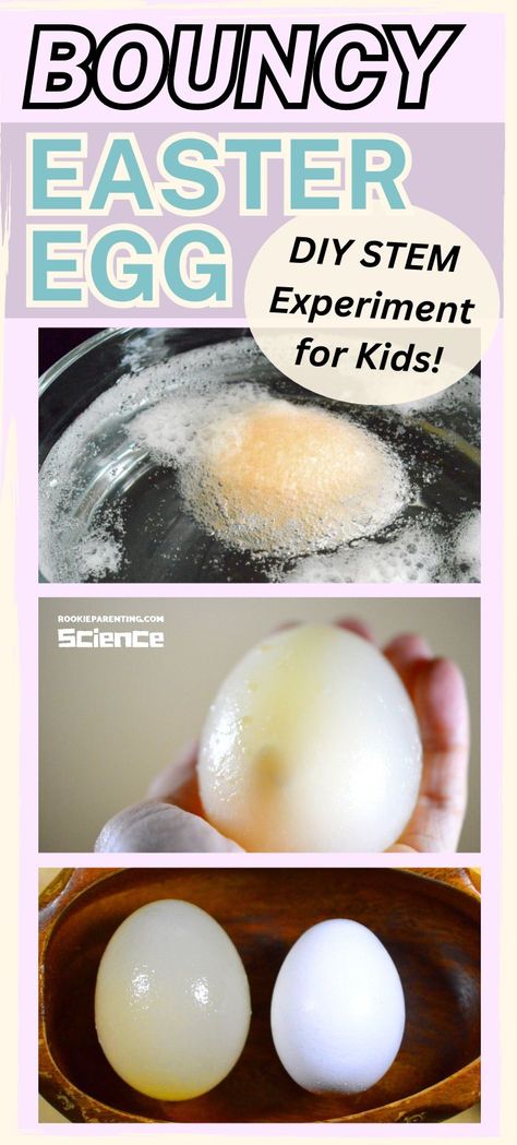 Top: An egg submerged in vinegar. The chemical reaction taking place is visible as bubbles form around the egg. Middle: A close-up of the enlarged 'rubber' egg in a child's hand after the experiment. Bottom: A swollen 'rubber' egg next to an average sized white egg. Text reads: “Bouncy Easter Egg DIY STEM Experiment for Kids !”. Bouncy Egg Experiment, Diy Science Experiments For Kids, Egg Science Experiment, Easter Science Experiments, Easter Stem Activities, Egg In Vinegar, Egg Science, Egg Experiment, Bouncy Egg