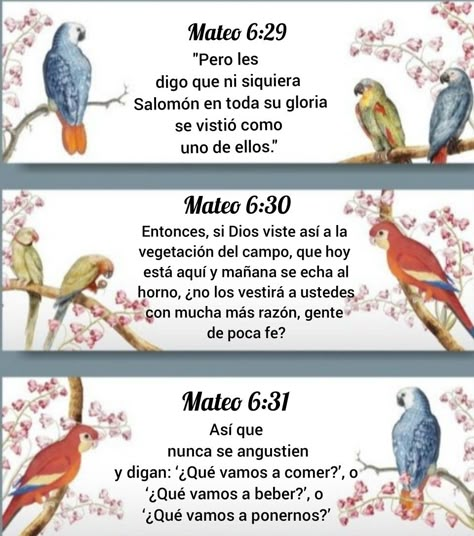 Letter Writing Examples, Letter Writing Samples, Free Scripture Printables, Jehovah Quotes, Good Morning In Spanish, Bible Journal Notes, Spanish Inspirational Quotes, Bible Text, Sunday School Activities