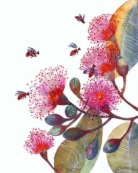 Craft-o-Rama — By Teva Kiwi on Etsy. Hur Man Ritar Blommor, Flowering Gum, Painting Of Flowers, Australian Native Flowers, 수채화 그림, Arte Floral, Flowers And Leaves, Botanical Illustration, Art Paint