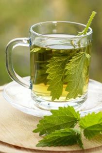 Nettle Leaf Tea Recipe and Other Nettle Leaf Recipes Nettle Leaf Tea, Nettle Tea, Foods For Clear Skin, Creatinine Levels, Homemade Soda, Aquaponics System, Detox Recipes, Herbal Tea, Best Foods