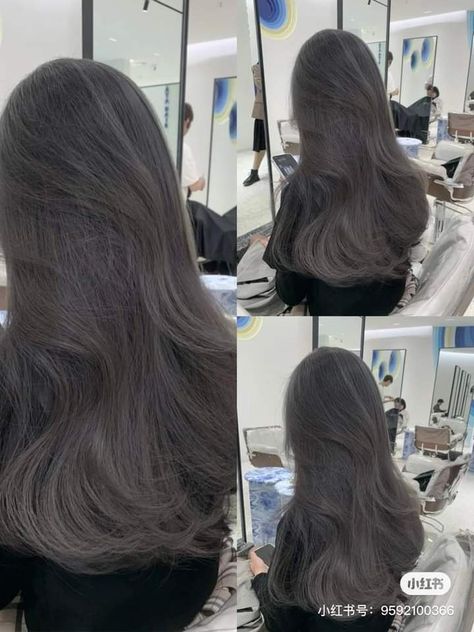 Mystic Ash Hair Color, Greyish Black Hair, Dusty Grey Hair, Dark Color Hair Dye, Dark Cool Tone Hair, Black Korean Hair, Dark Ash Hair, Ash Black Hair, Cool Tone Hair Color