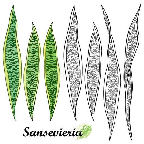 Snake Plant Line Art, Snake Plant Art, Snake Plant Drawing, Snake Plant Tattoo, Logo Plant, Plant Doodles, Plant Doodle, Sansevieria Plant, Mother In Law Tongue