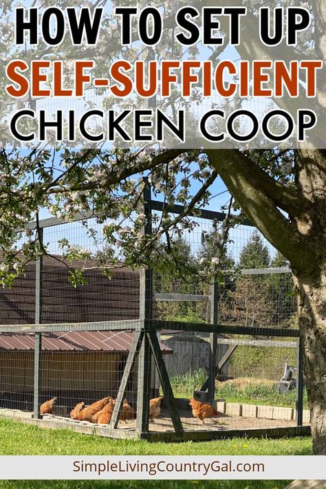 How to set up a Self-Sufficient Chicken Coop that allows you to raise chickens without needing to watch over them every day. Different tools and tips you can use to train your chickens and to set up your coop so it runs on auto-pilot. Yes you will need to go out every few days but every day care will be a thing of the past. #selfsufficientcoop Self Sufficient Chicken Coop, Chicken Coop Solar Power, Chicken Run, Automatic Chicken Door, Training Chickens, Automatic Waterer, Automatic Chicken Coop Door, Backyard Coop, Duck Farming