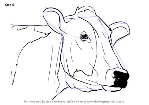 Drawing Faces Step By Step, Faces Step By Step, Draw A Cow, 3d Drawing Tutorial, Cow Sketch, 3d Monster, Cow Drawing, Drawing Designs, Cow Face