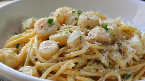 This scallop and spaghetti dinner with a creamy sauce is fast and easy. The scallops cook a bit longer than many chefs do, but that gives the dish more flavor and they're still tender and moist. Scallop Spaghetti, Scallops Pasta, Bay Scallop Recipes, Scallop Recipes Pasta, Bacon Zucchini, Bay Scallops, Scallop Pasta, Baked Scallops, Spaghetti Dinner