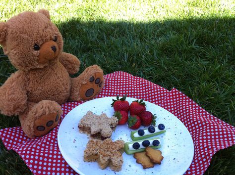 teddy bear picnic - Google Search Summer Backyard Activities, Backyard Activities For Kids, Toddler Friendly Meals, Image Aesthetic, Backyard Activities, Bear Picnic, Keto Holiday, Picnic Birthday, Summer Backyard