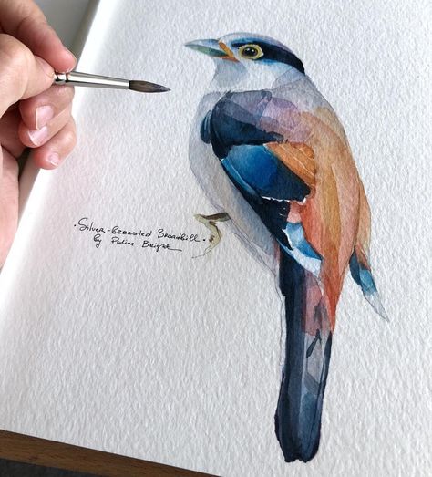 Polina Bright, Brush Paint, Art Hub, Watercolor Sketch, Nature Journal, Bird Drawings, Art And Illustration, Watercolor Bird, Wildlife Art