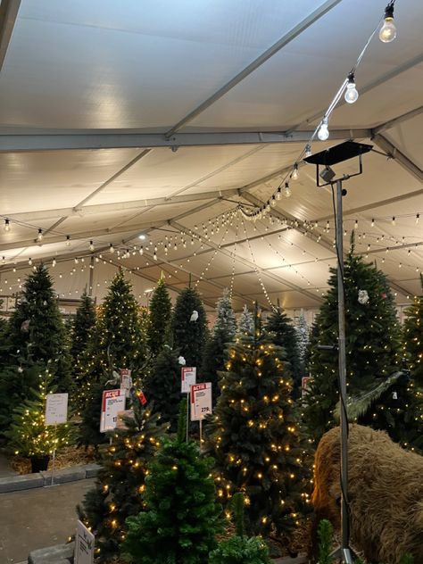 Garden Centre Aesthetic, Uk Christmas Aesthetic, Christmas Tree Farm Aesthetic, Christmas Romcom, Trees Lights, Lights Aesthetic, Christmas Tree Lots, Christmas Dreaming, Aesthetic Garden