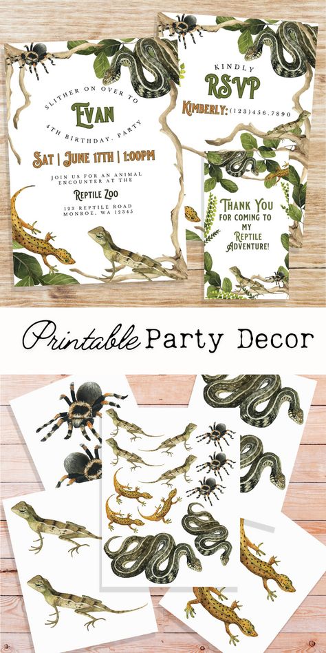 Get ready for a wild celebration with this Reptile Birthday Invitation Bundle! Perfect for your little adventurer, this set includes printable reptile party decor featuring lizards, snakes, and more. Whether you're planning a fun boy party or looking for creative reptile party ideas, this bundle has everything you need for a memorable celebration. Bring the jungle to life with this unique lizard party and let the kids have a blast! #ReptileBirthday #LizardParty #SnakeParty #BoyPartyIdeas Reptiles Birthday Party Ideas, Reptile Party Ideas, Lizard Party, Reptile Birthday Party, Snake Birthday, Reptile Zoo, Snake Party, Tarantula Spider, Reptile Party