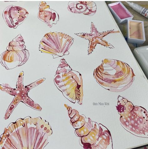 Win Illustration, Pretty Shells, Ohn Mar Win, Art Diary, Watercolor Art Lessons, Arte Inspo, Sketchbook Inspiration, Watercolor Inspiration, Art Inspiration Painting