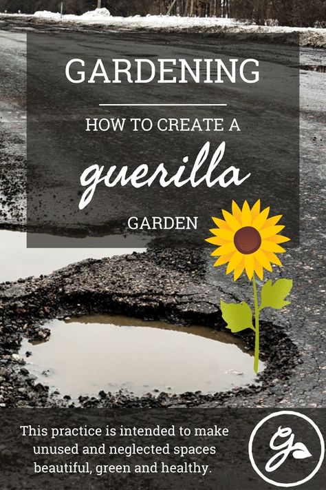 Guerilla gardening is sometimes an attempt to increase urban green space for recreation. Or, it can also provide spaces with edible plants for neighborhood use. Get the Know How on this little random of gardening here. Gorilla Gardening, Guerilla Gardening, Guerrilla Gardening, Guerilla Marketing, Edible Plants, Community Gardening, Green Space, Urban Garden, Green Thumb