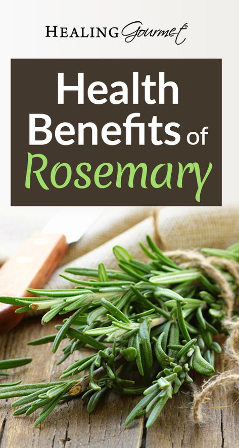 Do you want to discover the powerful health benefits of rosemary? Read on to learn how this healing herb can protect your health! Rosemary Uses Health, Rosemary Benefits Healing Herbs, Rosemary Herb Benefits, Health Benefits Of Rosemary, Benefits Of Rosemary Water, Rosemary Plant Benefits, Rosemary Health Benefits, Rosemary Benefits, Benefits Of Rosemary