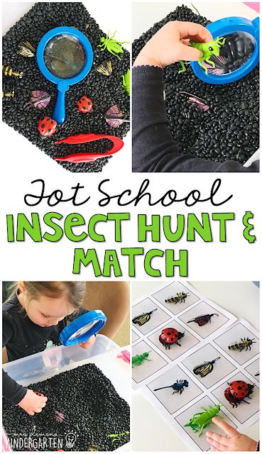 Preschool Insects Activities, Bug Activities, Insects Preschool, Bugs Preschool, Insect Activities, Insect Crafts, Insects Theme, Preschool Centers, Bug Crafts