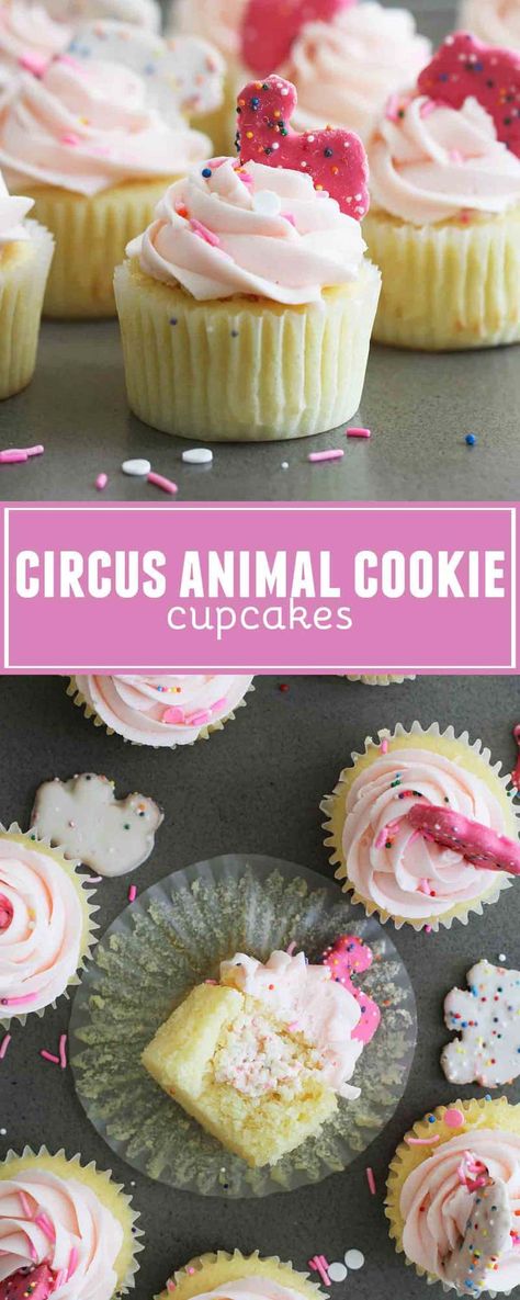 These Circus Animal Cookie Cupcakes have vanilla cupcakes filled with a circus animal cookie infused cheesecake center, then topped with vanilla buttercream. Top it all off with a circus animal cookie for a fun, playful and delicious cupcake! Gourmet Cupcake Ideas, Creative Cupcake Flavors, Unique Cupcake Ideas, Animal Cookie Cupcakes, Cereal Cupcakes, Event Desserts, Cupcake Tools, Cupcake Diy, Cookie Cupcakes