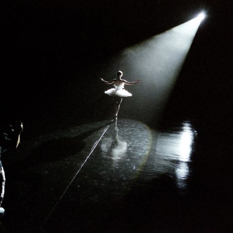 Dark Swan Aesthetic, Black Swan Ballet, Black Swan Aesthetic, Black Swan Movie, Swan Aesthetic, Black Swan 2010, Dark Swan, Ballet Beauty, Black Ballerina