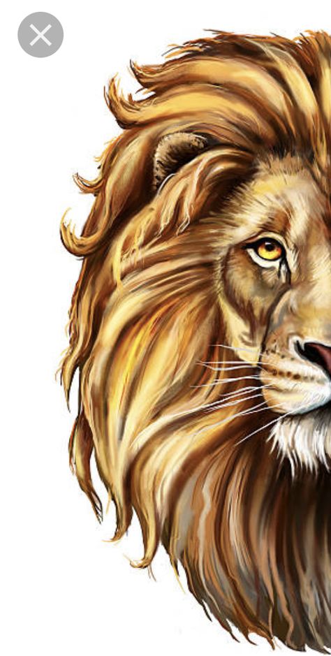 Lion Drawing Wallpaper, Lion Painting Ideas, Lion Drawing Color, Lion Drawing Ideas, Lion Art Drawing, Lion Art Painting, Leo Painting, Lion Paintings, Colorful Lion Painting