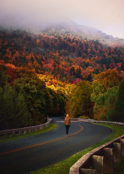 15 Best Places For Fall In North Carolina - Southern Trippers Ashville North Carolina, Greenville North Carolina, Craggy Gardens, Winston Salem North Carolina, Mountain Vibes, North Carolina Travel, Boone Nc, Wilmington North Carolina, Nc Mountains