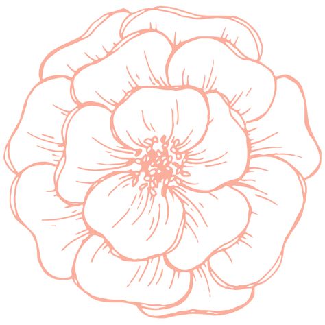 Flower Top View Drawing, Round Flower Drawing, Peony Design Drawing, Peonies Drawing Simple, Floral Embroidery Patterns Templates Flower Designs, Big Flower Drawing, Flower Sketches Simple, Peonies Sketch, Flower Outline Drawing