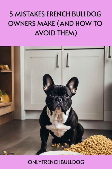 A French Bulldog sitting on the floor with spilled dog food, symbolizing common mistakes dog owners make. French Bulldog Training Tips, French Bulldog Puppy Care, French Bulldog Must Haves, French Bulldog Tips, French Bulldog Care Tips, French Bulldog Breeding, French Bulldog Rescue, Bulldog Training, Frenchie Mom