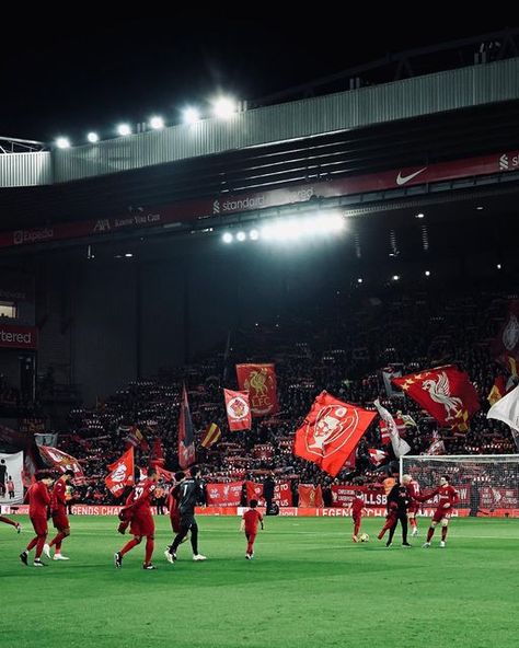 Liverpool Football Club on Instagram: "A special atmosphere inside Anfield last night 🏟️ ‍💫" Liverpool Anfield, Liverpool Football Club, Liverpool Football, Football Club, Last Night, Instagram A, Liverpool, Football, Collage