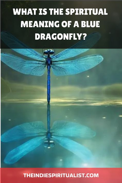 Know the 6 mystical meanings of encountering a blue dragonfly and unlock secrets to your spiritual journey and transformation. Blue Dragonfly Meaning, Dragonfly Meaning Spiritual, Dragonfly Spiritual, Dragonfly Life Cycle, Dragonfly Meaning, Meaning Of Blue, Spiritual Dimensions, Blue Dragonfly, Animal Symbolism