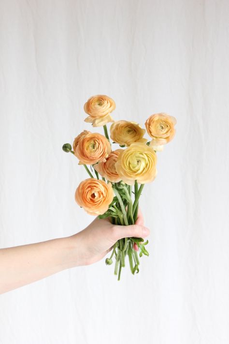 Small Ranunculus Bouquet, Floral Recipes, Peach Ranunculus, Hampshire House, Ranunculus Bouquet, Boquette Flowers, September Wedding, Wedding Mood, Wedding Florals