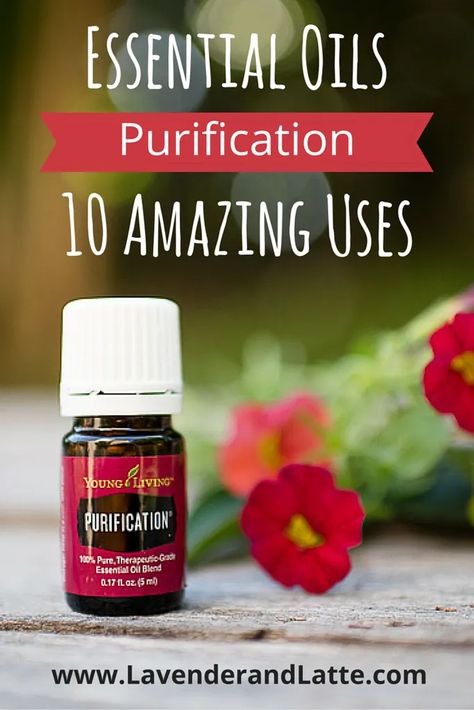 Purification Essential Oil Young Living, Young Living Purification, Purification Oil, Purification Essential Oil, Essential Oils For Kids, Essential Oil Diffuser Blends Recipes, Young Living Essential Oils Recipes, Yl Oils, Essential Oil Spray