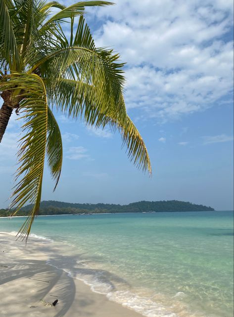 Escape to Paradise: Immerse yourself in the breathtaking beauty of Cambodia's Koh Rong! 🌴✨ Capture the serenity of palm-fringed beaches and turquoise waters. Share your best travel moments and photography from this tropical haven. Tag us in your Koh Rong memories and inspire wanderlust! #KohRong #CambodiaTravel #BeachParadise #TropicalGetaway #TravelPhotography #IslandEscape #PalmTreeVibes #WanderlustJourney #CrystalClearWaters #GoldenSunsets #ExploreCambodia #NatureCaptures #TravelGoals Koh Rong Cambodia, Beautiful Ocean Pictures, Travel Moments, Dream Vacations Destinations, Summer Destinations, Korea Travel, Breathtaking Beauty, Beach Paradise, Dream Holiday