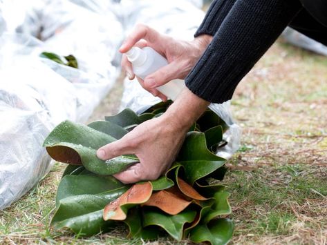 How to Keep Magnolia Leaves Fresh | HGTV Nature Centerpieces, Magnolia Leaves Centerpiece, Magnolia Leaves Christmas, Chapel Flowers, Leaf Crafts For Kids, Magnolia Christmas Decor, Pin Ornaments, Roses Centerpiece, Magnolia Leaf Garland