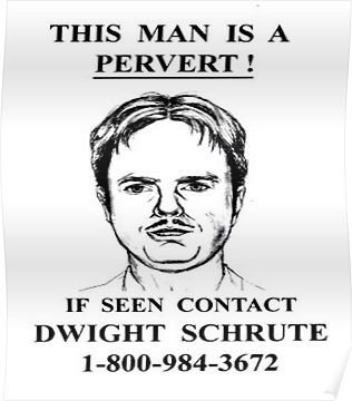 This Man is a Pervert - The Office Poster Office Themed Party, Office Birthday Party, The Office Stickers, The Office Show, Office Themes, Office Memes, Wanted Poster, Office Quotes, Office Birthday