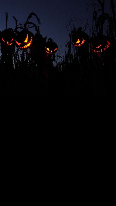 Iphone Wallpaper Spooky Aesthetic, Halloween Aesthetic Phone Wallpaper, Spooky Iphone Wallpaper Aesthetic, Dark Halloween Iphone Wallpaper, Halloween Dark Aesthetic Wallpaper, Halloween Screensavers Wallpapers, Halloween Wallpaper Iphone Aesthetic Dark, Spooky Phone Backgrounds, Dark Fall Wallpaper Iphone