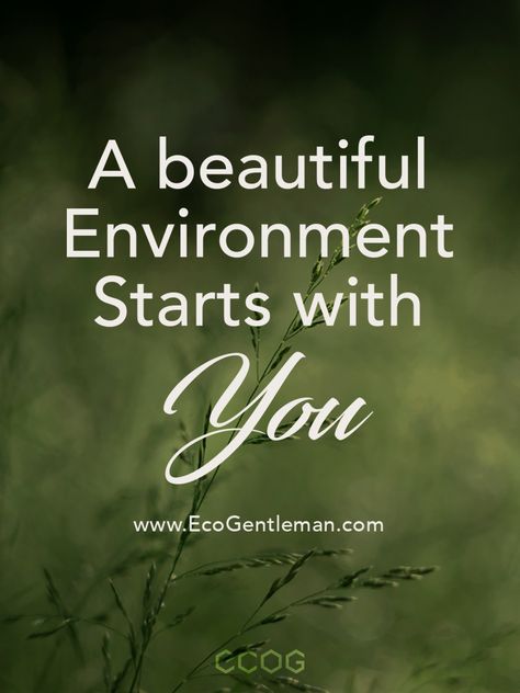 ♂100+ environmental green quotes encourage you to live a sustainable healthy life – Beautiful environment starts with you. #quote #greenquote #naturequote #earthquote #wisdom #environment Slogan On Save Environment, Natural Healing Quotes, Healing Quotes Health, Masculine Contemporary, Quotes Courage, Nature Quotes Beautiful, Eco Quotes, Conversation Quotes, Sustainability Quotes