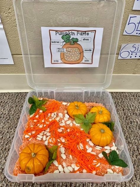 Fall Science Activities Preschool Sensory Play, Pumpkin Sensory Table Preschool, Fall Sensory Bin Ideas For Kindergarten, October Sensory Bin Kindergarten, Preschool Fall Science Center, Mini Pumpkin Activities Preschool, Fall Theme Science Preschool, Preschool Pumpkin Art Activities, Diy Fall Sensory Bin