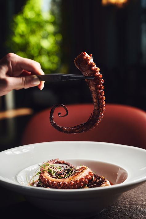 Octopus Food Photography, Seafood Photoshoot, Seafood Photography, Squid Recipes, Elegant Food, Brunch Places, Food Photoshoot, Restaurant Photography, Restaurant Photos