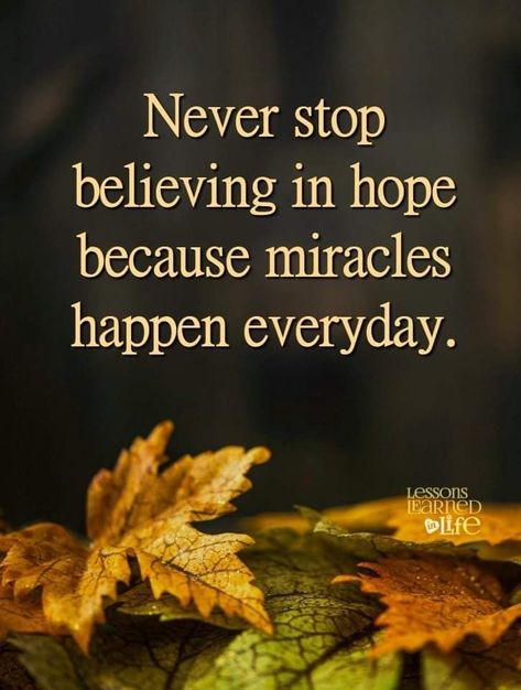 Miracles Happen Everyday, Never Stop Believing, I Thought Of You Today, Salvation Prayer, Miracle Quotes, Strong Mind Quotes, Maine Usa, Journey Quotes, Believe In Miracles