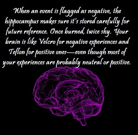 Rick Hanson, Buddha's Brain quote Rick Hanson, Brain Quotes, Brains Quote, Eckhart Tolle Quotes, Tiny Buddha, Life Changing Quotes, Human Mind, Neuroscience, Life Changes