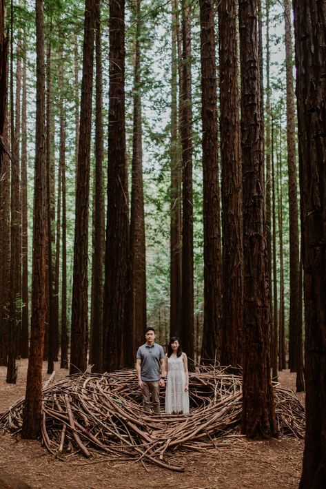 Marvelous Redwood Forest Wedding Anniversary in Warburton Melbourne Australia by fire, wood & earth - 033 Forest Wedding Australia, Wedding Australia, Redwood Forest Wedding, Forest Engagement Photos, Forest Engagement, Fire Wood, Wedding Anniversary Celebration, First Wedding Anniversary, Redwood Forest