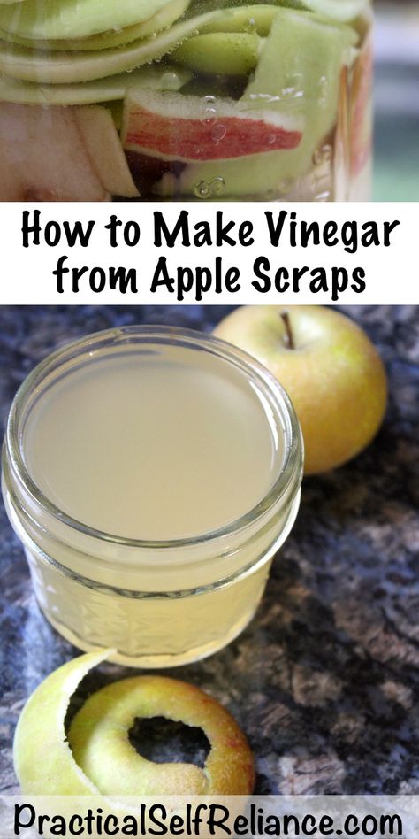 How to Make Apple Scrap Vinegar Apple Scraps, Make Vinegar, Homemade Vinegar, How To Make Vinegar, Fermentation Recipes, Cooked Apples, Homemade Apple, Survival Food, Fermenting