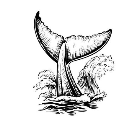 Water Splash Vector, Whale Tail Tattoo, Whale Sketch, Splash Vector, Band Tattoos For Men, Whale Pictures, Whale Drawing, Illustration Black And White, Medieval Tattoo