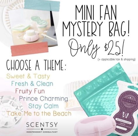 Mystery Bag Ideas, Fan Diffuser Scentsy, Scentsy Cleaning Products, Scentsy Sample Ideas, Scentsy 2024, Scentsy Consultant Business, Scentsy Facebook Party, Scentsy Recipes, Scentsy Diffuser