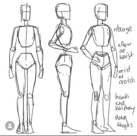 Drawing Essentials, Anime Bodies, Art Tut, Drawing Refrences, Drawing Body Poses, Reference Ideas, Body Drawing Tutorial, Human Anatomy Drawing, Drawing Help