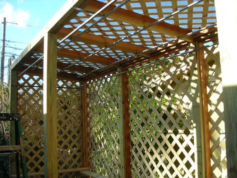 Orchid House Greenhouses, Orchid House Ideas, Cedar Paneling, Orchid House, Vanda Orchids, Plastic Curtains, Pet Peeves, Wood Work, Lattice